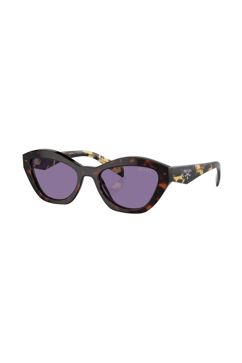 Prada round tortoise sunglasses shop