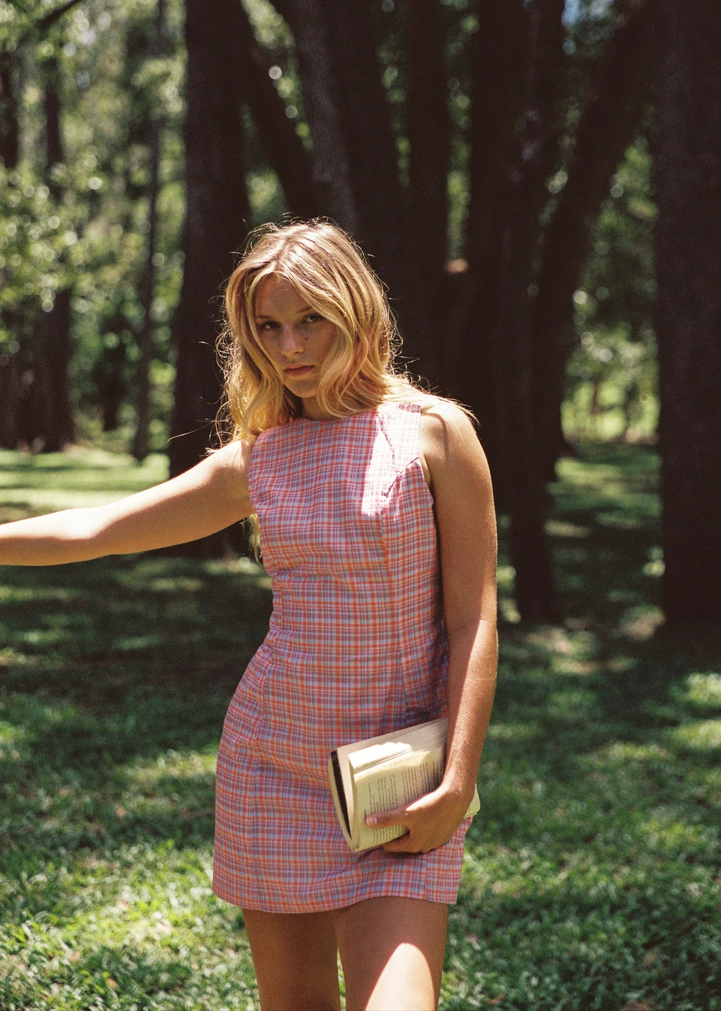 Quinn Mini Dress Picnic Check