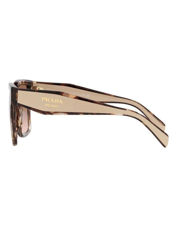 Prada Oversized Sunglasses 0PR 24ZS Caramel Tortoise