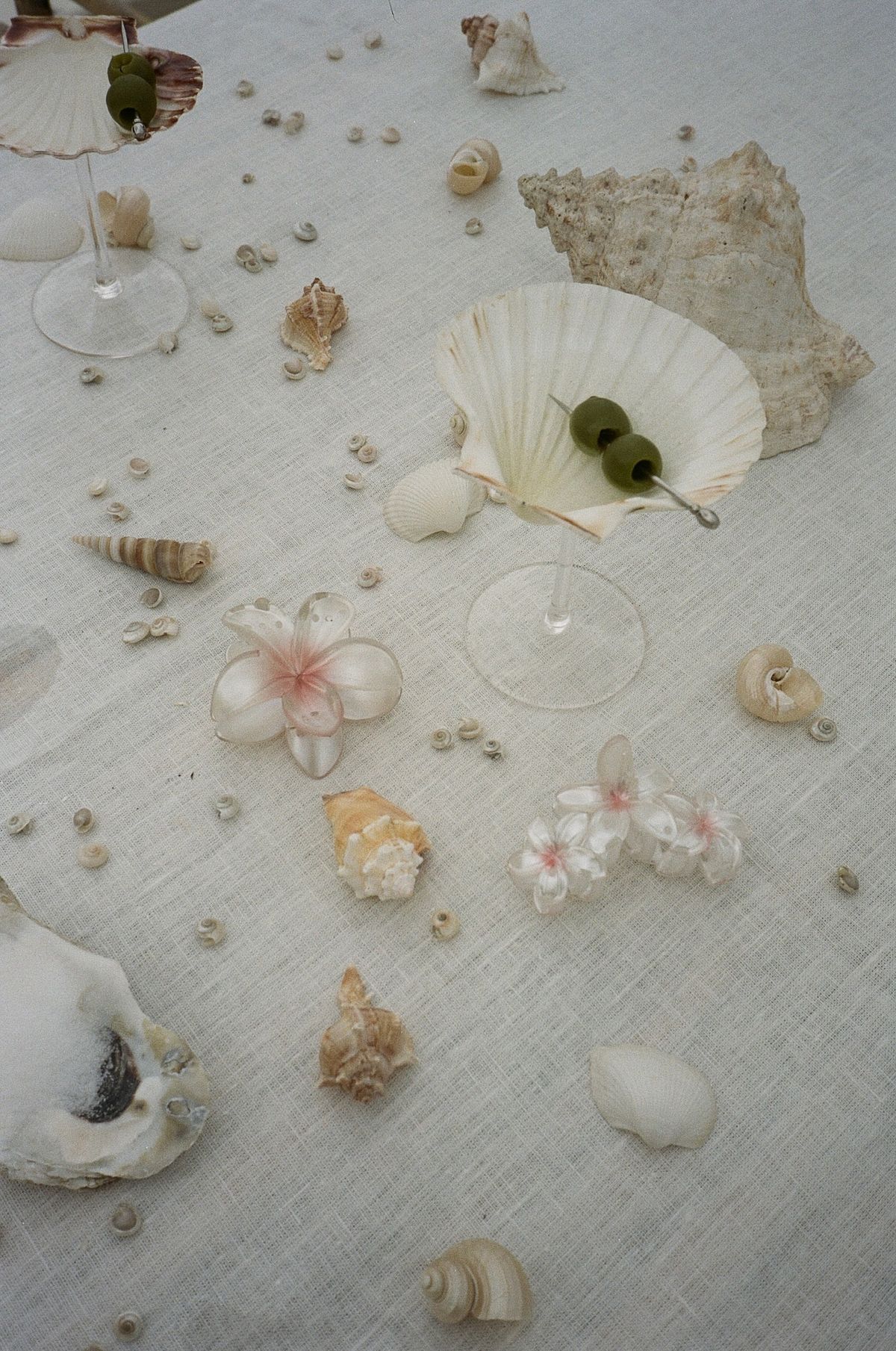 Super Bloom Clip Rose Pearl