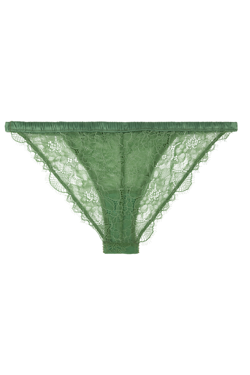 Wild Rose Brief Green