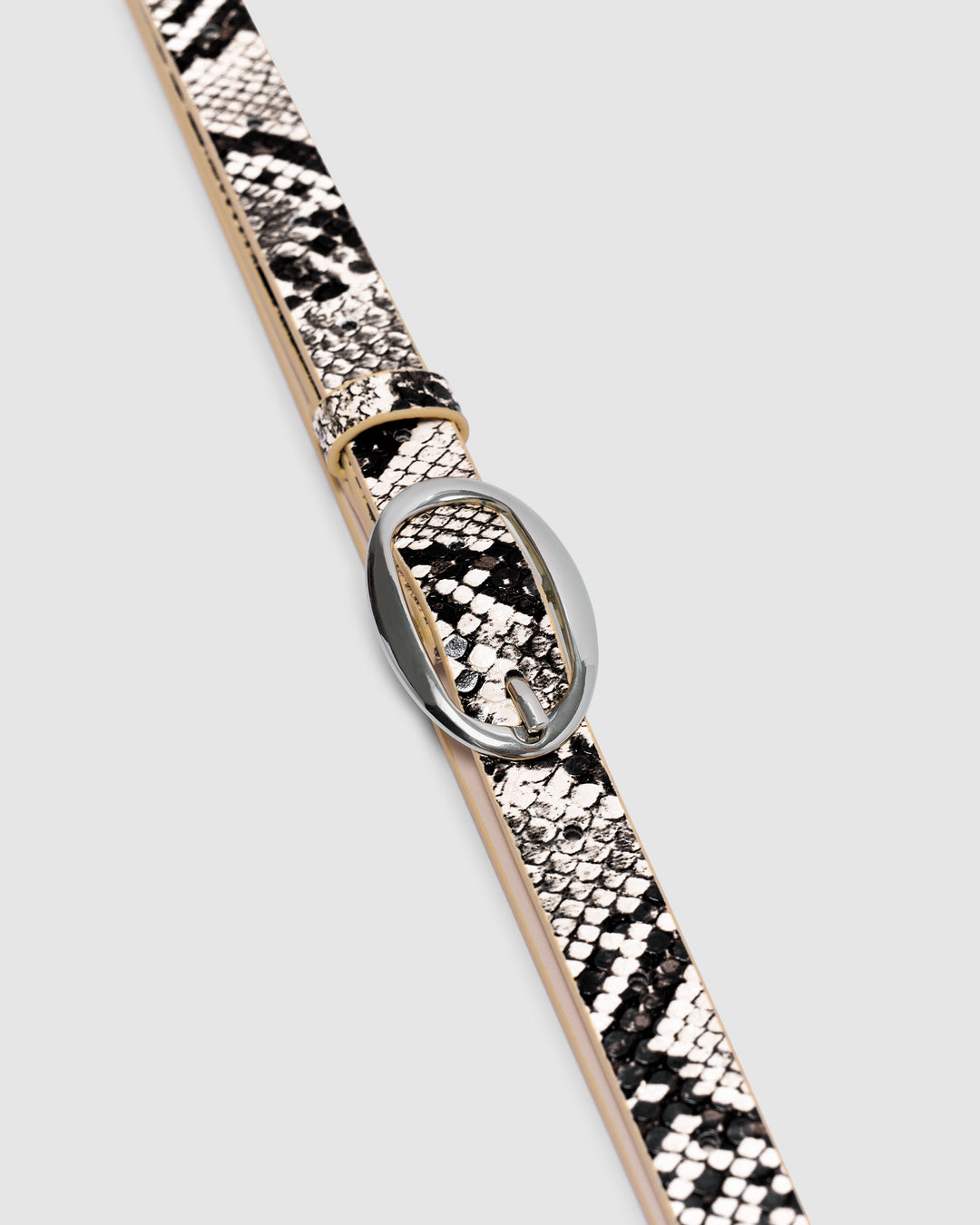 Oval Belt Python