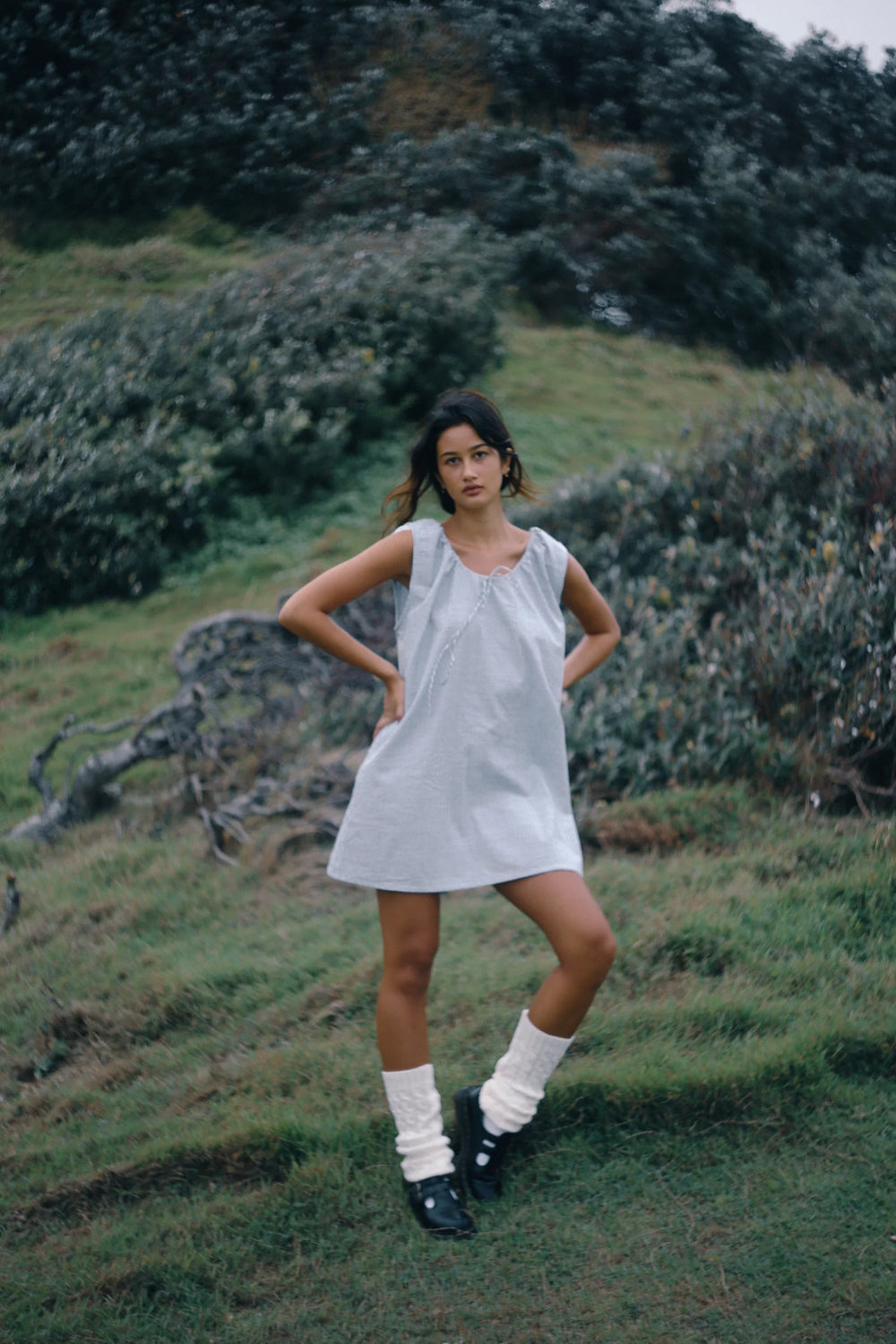 Luna Shift Dress Spirulina Stripe