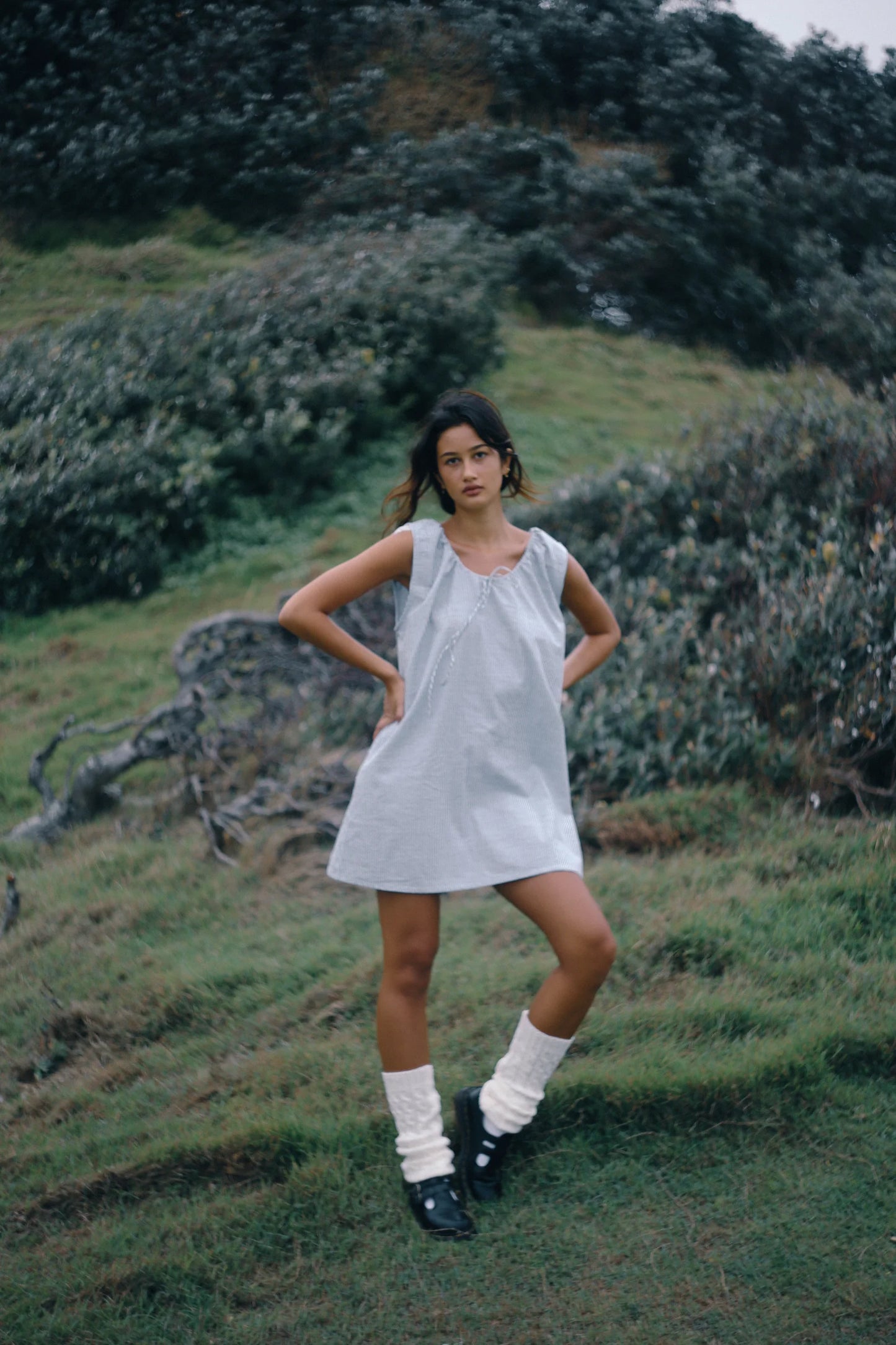 Luna Shift Dress Spirulina Stripe