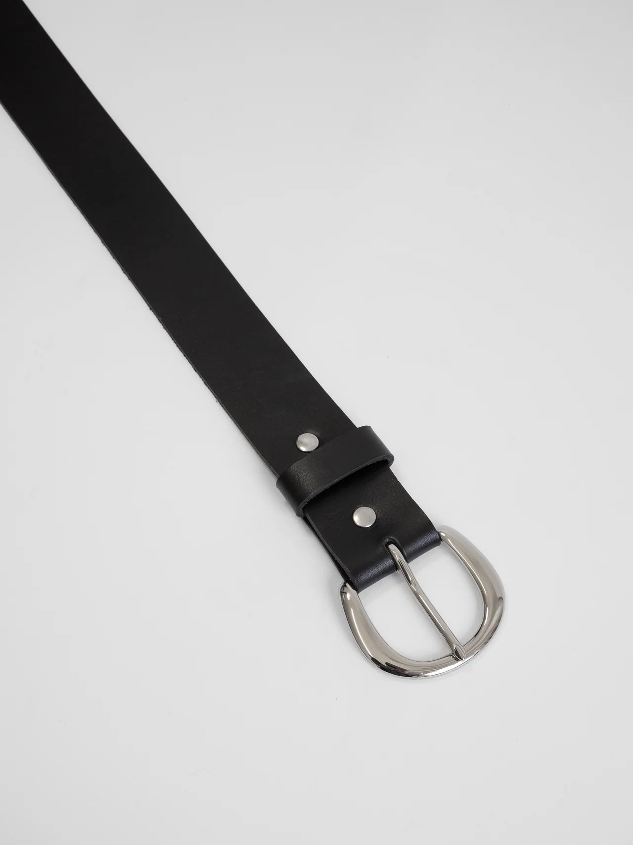 The Lair Camille Classic Wide Belt Silver