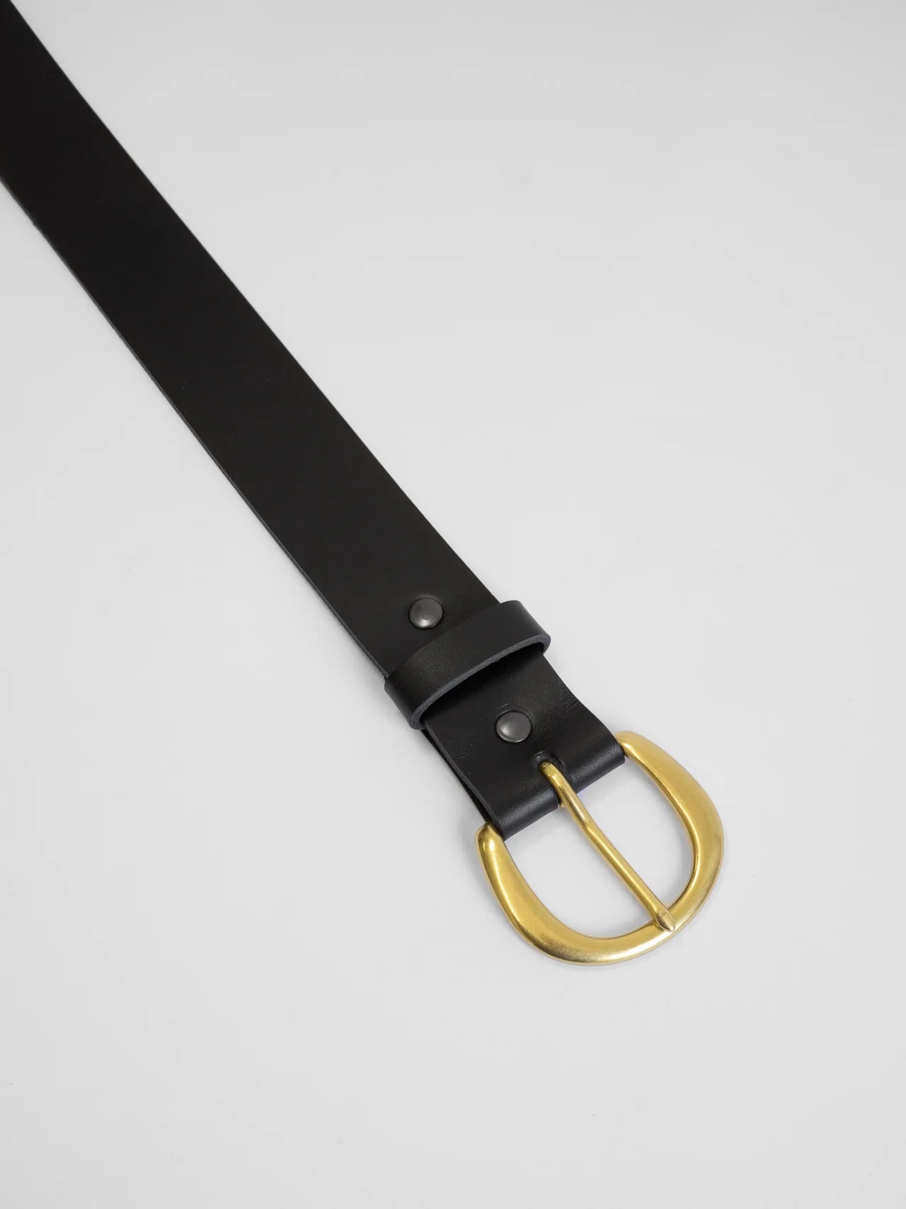 The Lair Camille Classic Wide Belt Brass