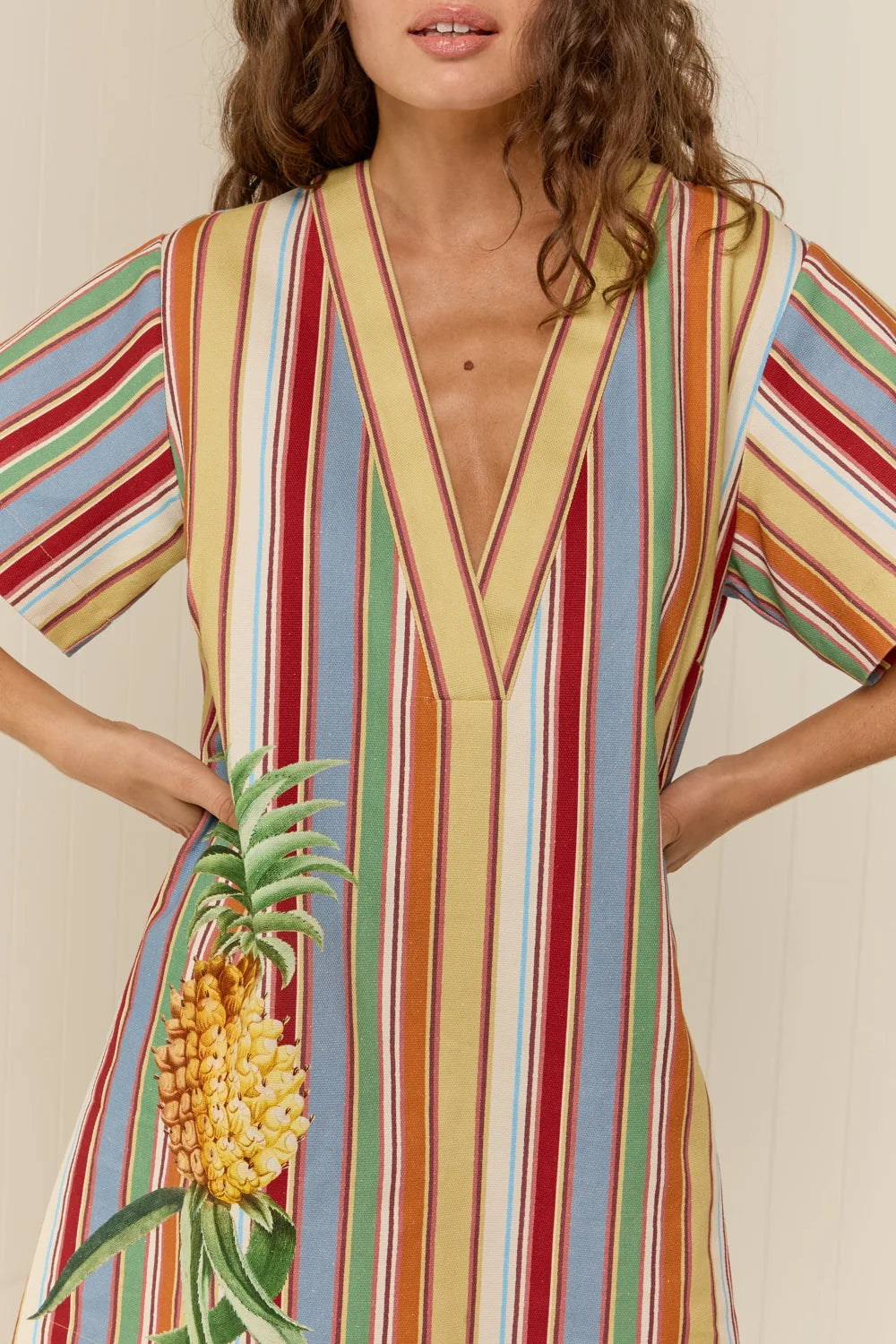 Palm Noosa Lennon Mini Dress Anana Stripe