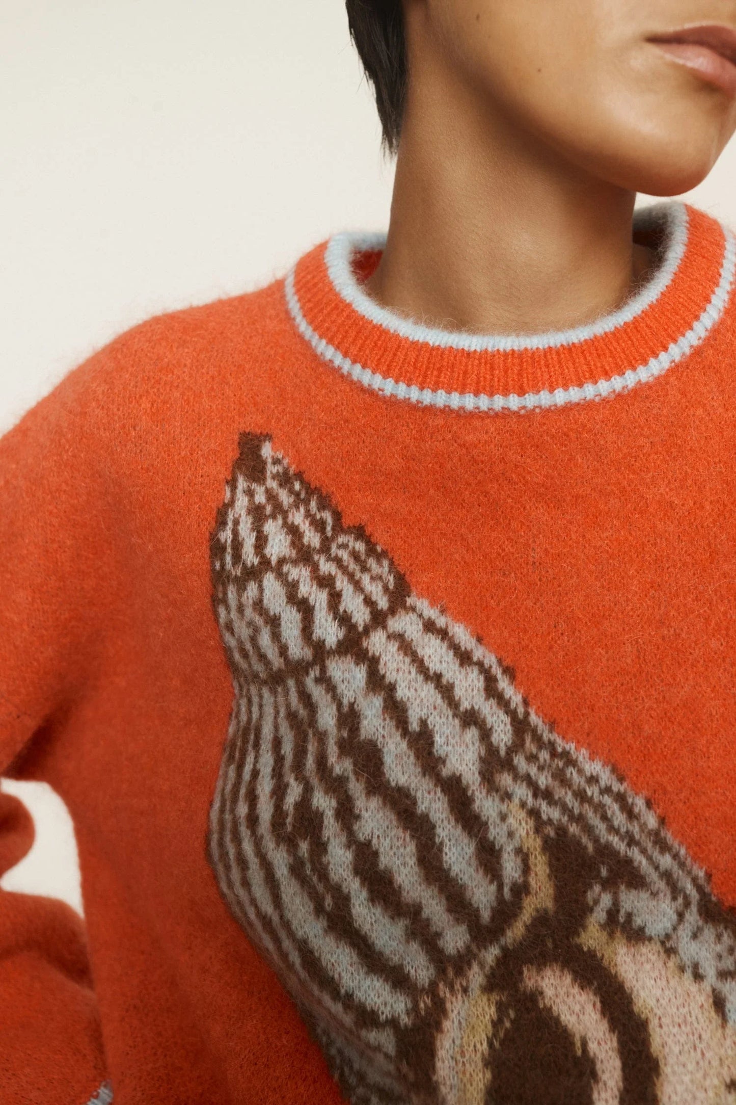 Sea Star Shell Knit Jumper