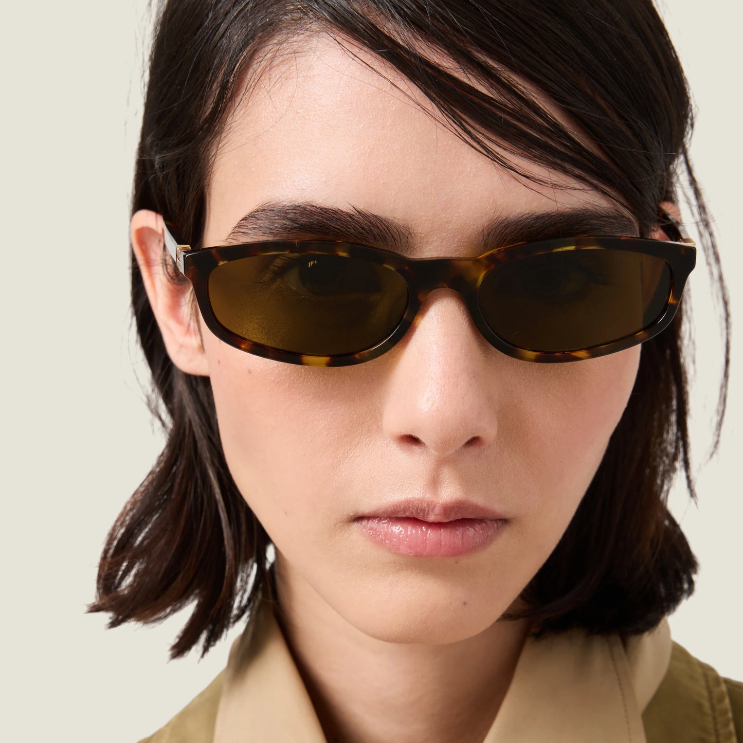 Miu Miu Regard Sunglasses 0MU A06S Havana