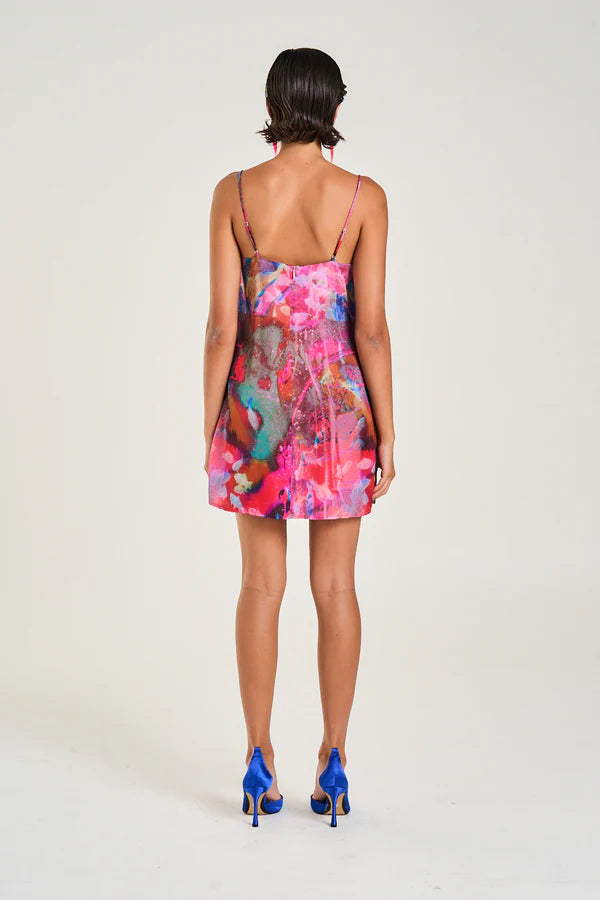 Shift Dress Fish Tank