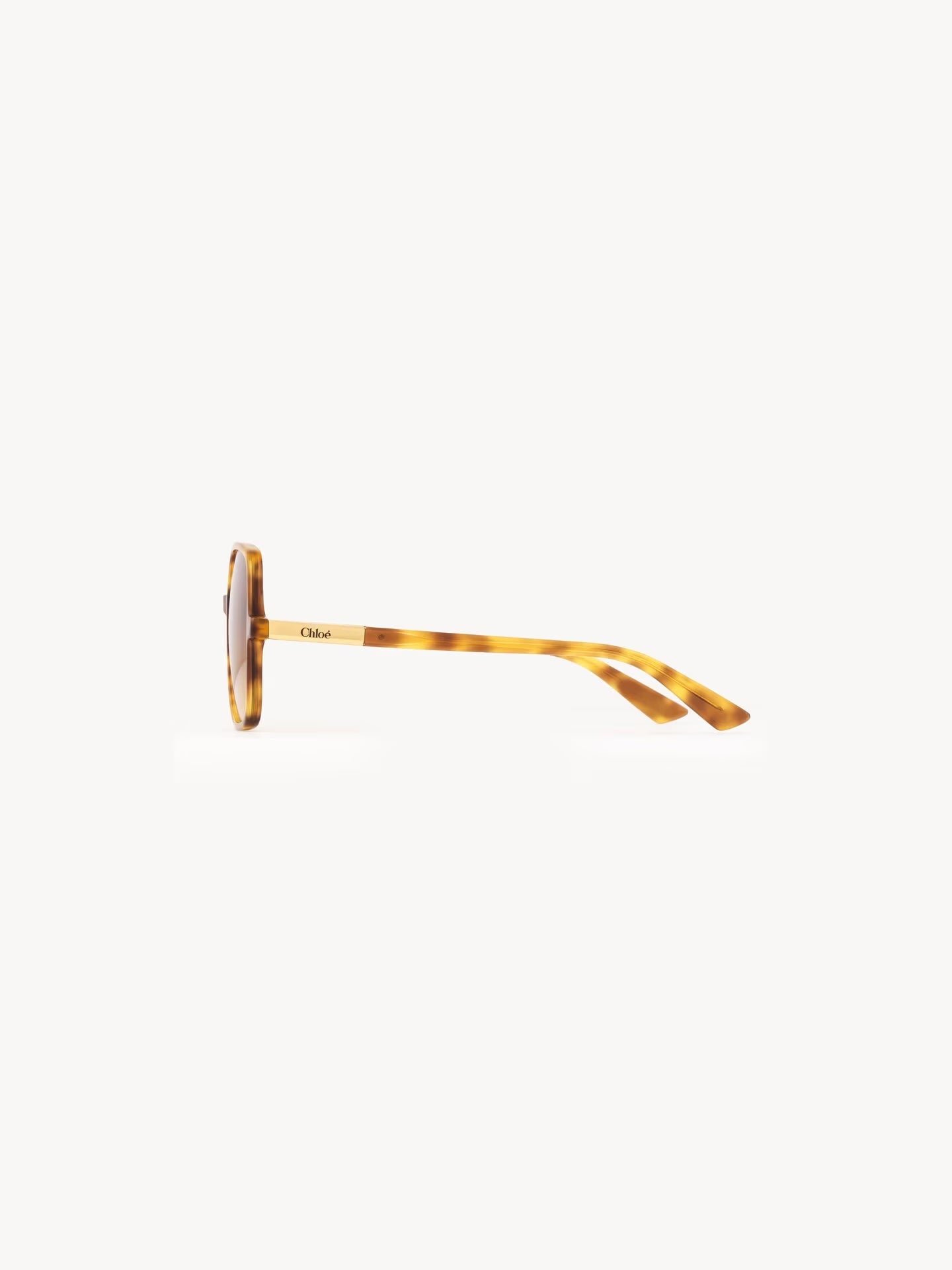 Chloe Judy Sunglasses CH0362S004 Havana