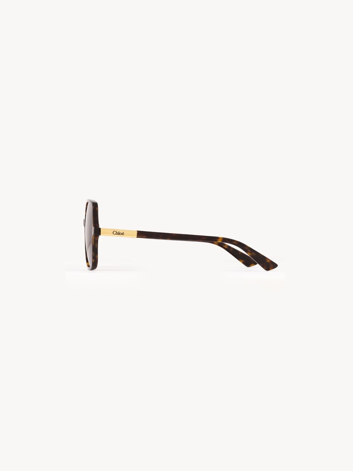 Chloe Judy Sunglasses CH0362S002 Havana
