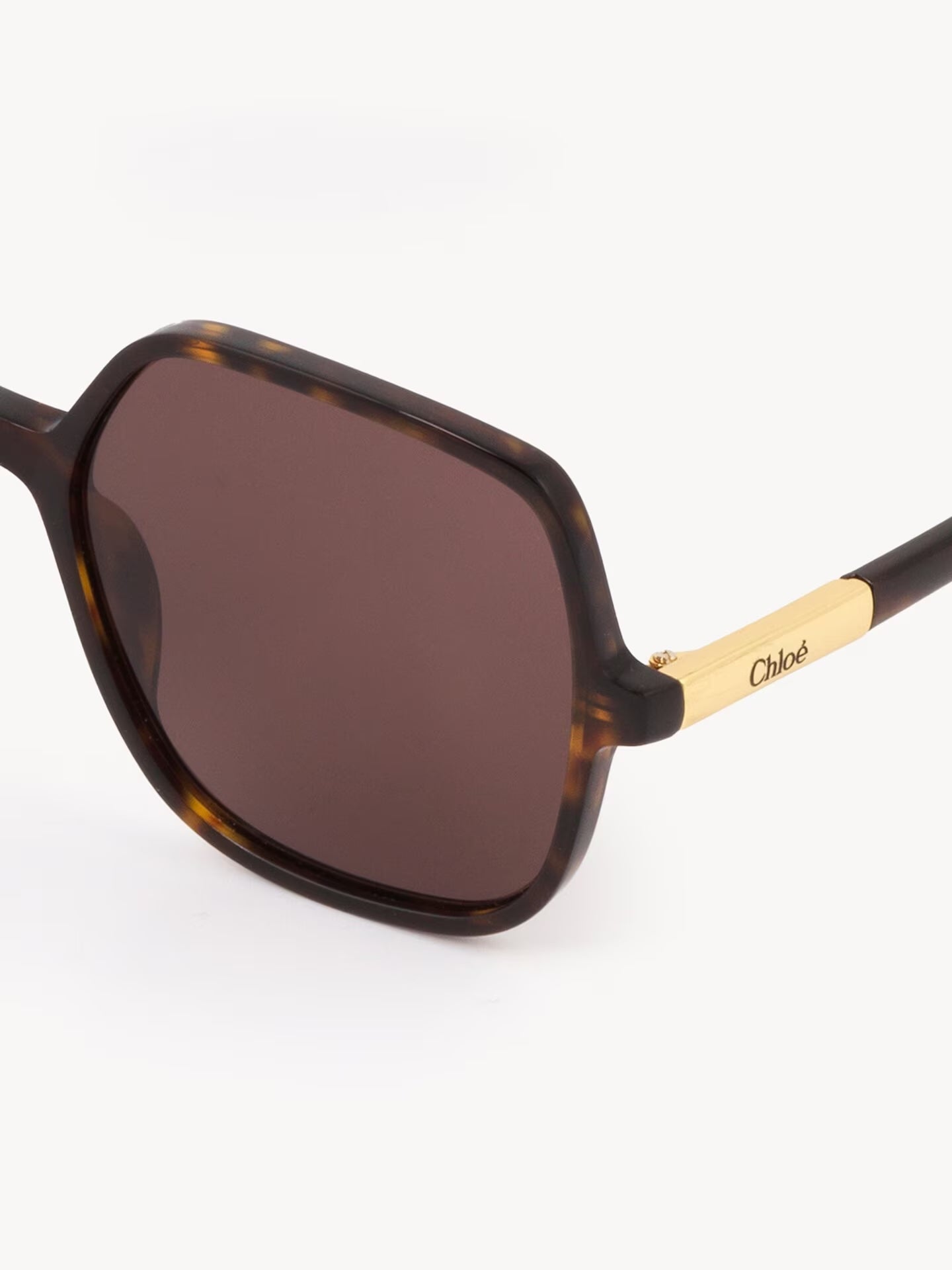 Chloe Judy Sunglasses CH0362S002 Havana