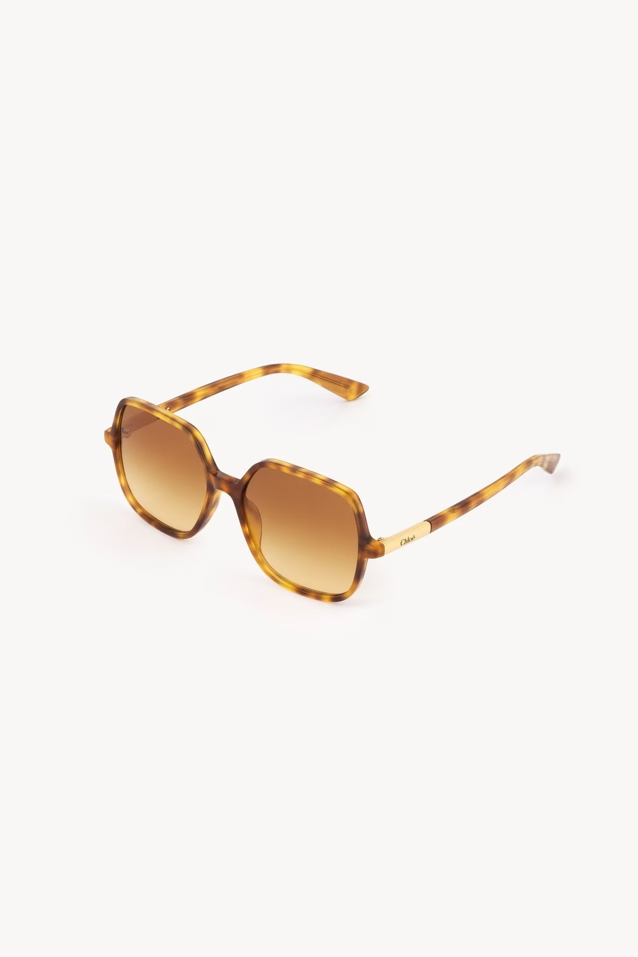 Chloe Judy Sunglasses CH0362S004 Havana