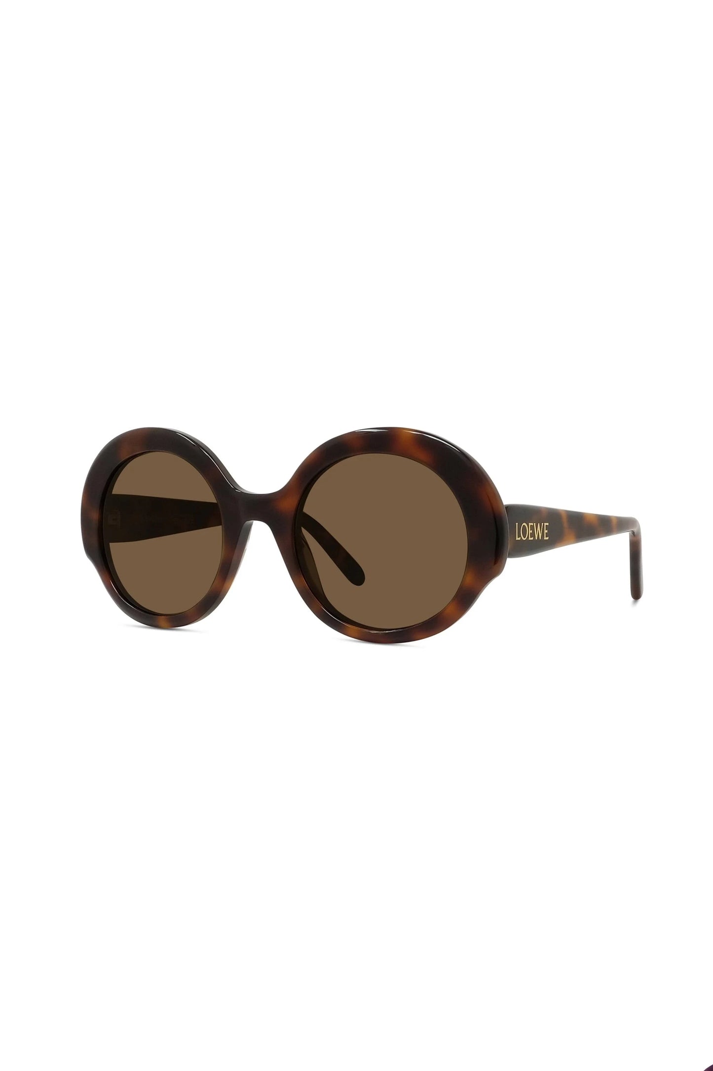 Loewe Round Sunglasses Tortoise LW40135I