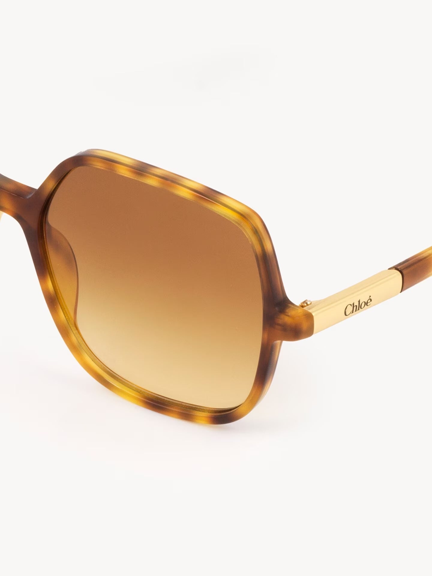 Chloe Judy Sunglasses CH0362S004 Havana