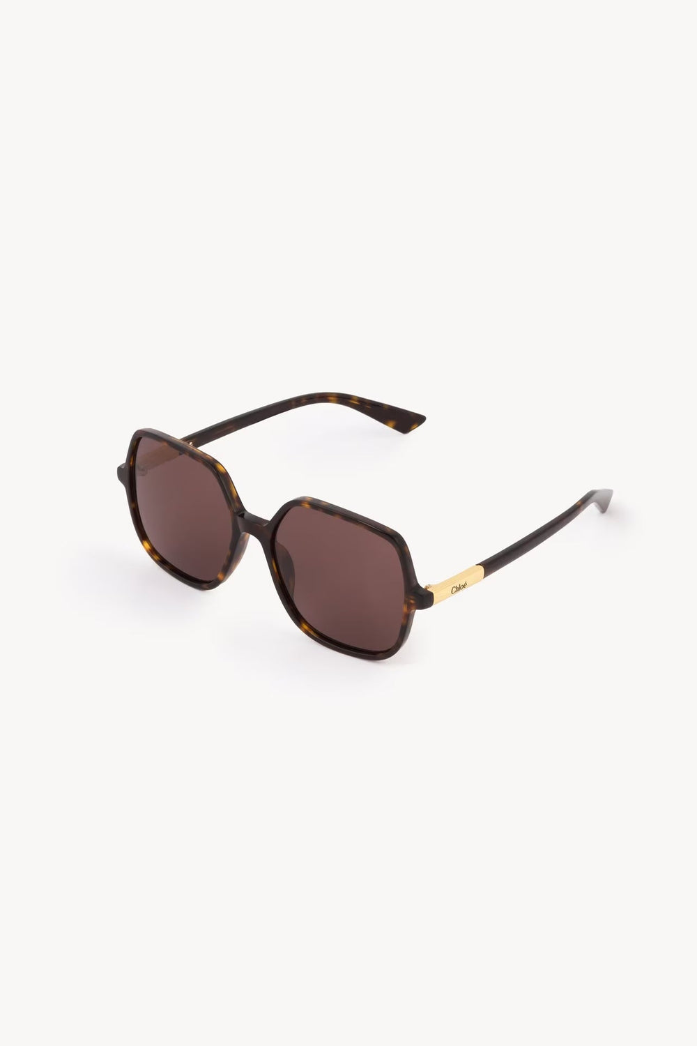 Chloe Judy Sunglasses CH0362S002 Havana - Laneway Boutique