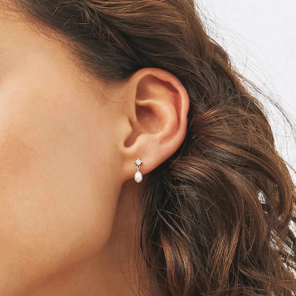 Aspen Mini Drop Earrings Silver